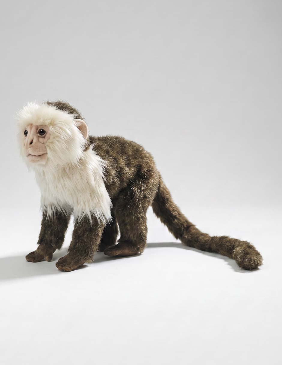 Peluche mono capuchino