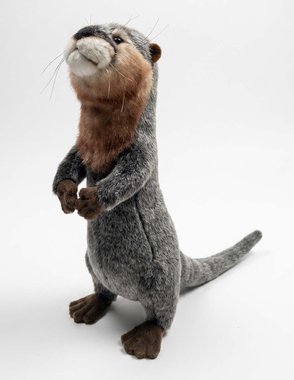 Peluche de Nutria de 35 cm 3