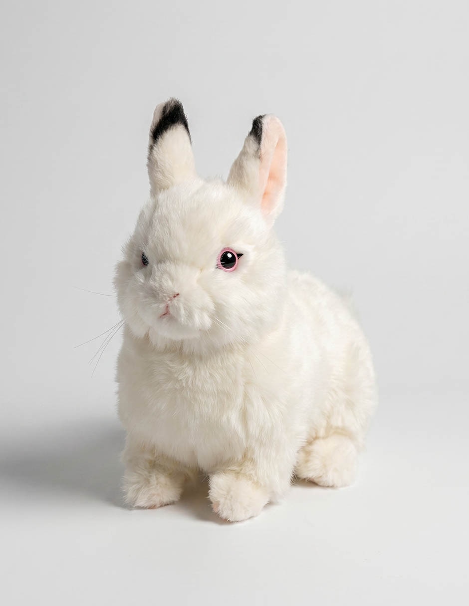 Peluche de Conejo de 21 cm 1