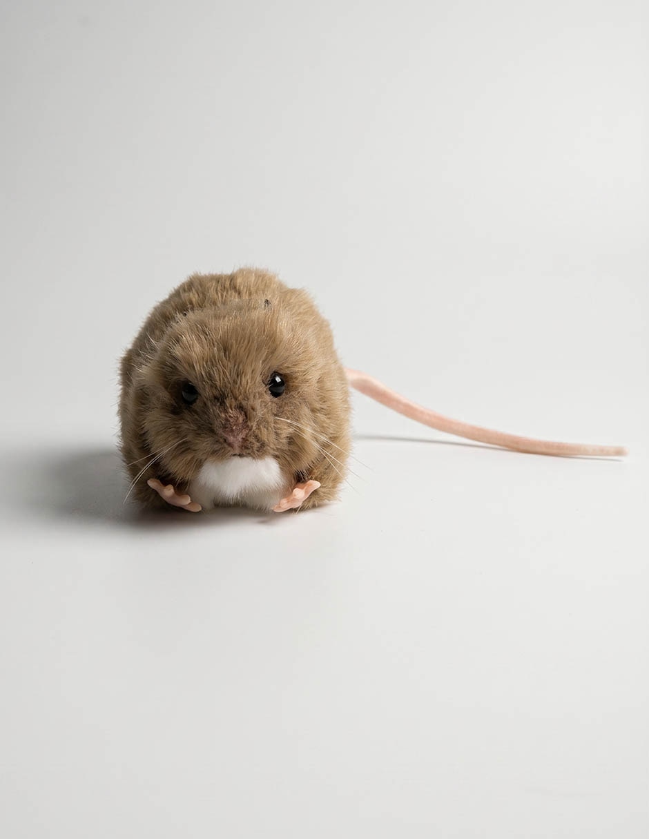Peluche de Rata de 6 cm 1