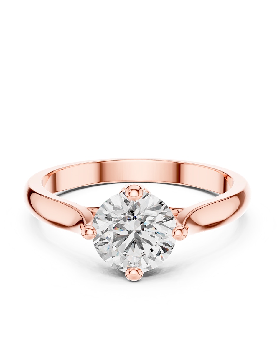 Rosa 2