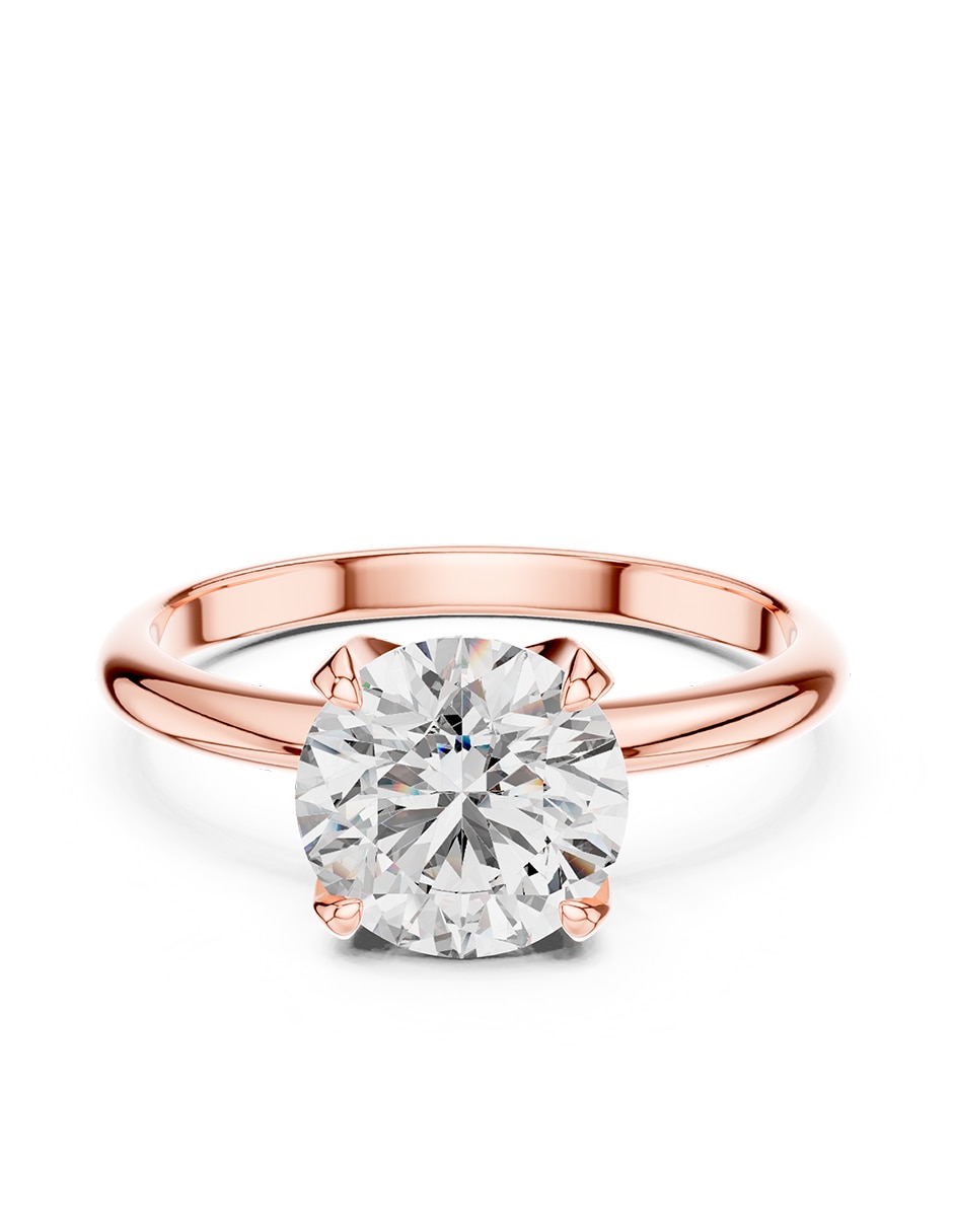 Rosa 3