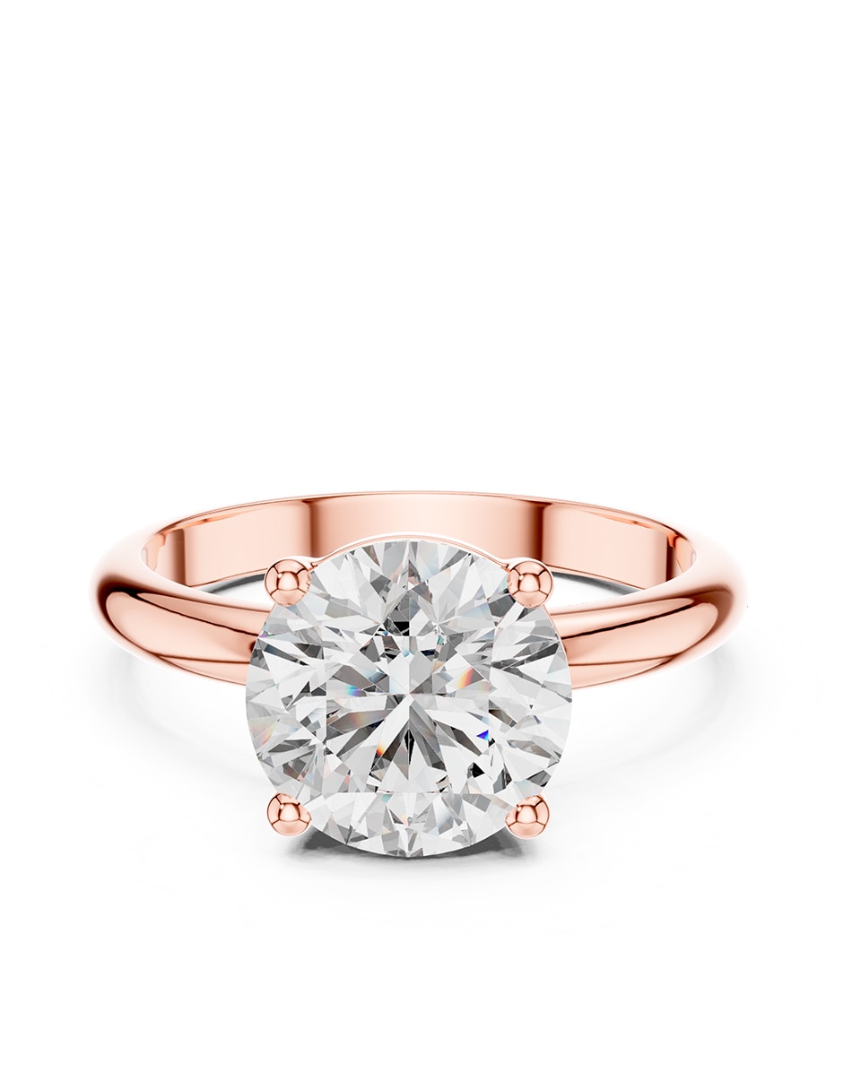 Rosa 3