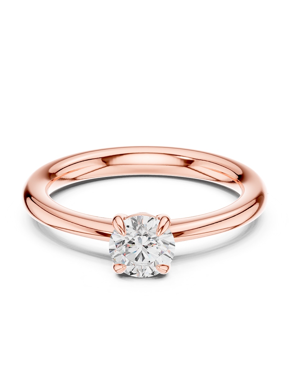 Rosa 3