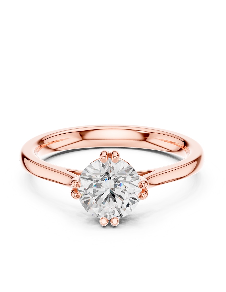 Rosa 3