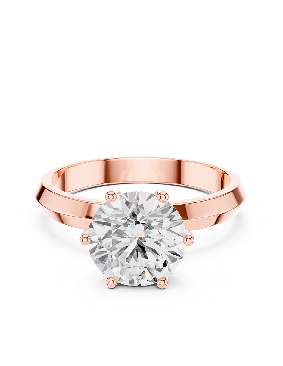 Rosa 3