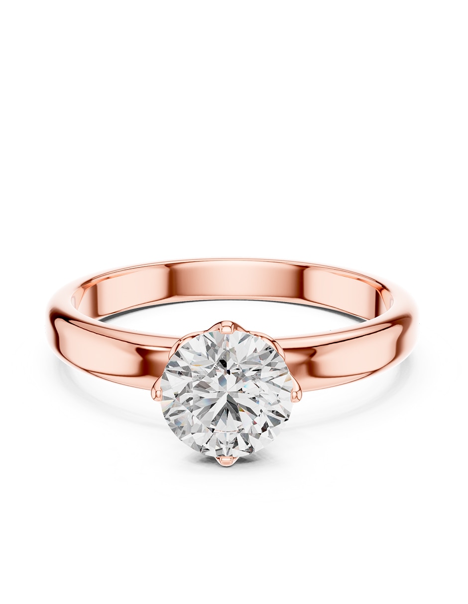 Rosa 3