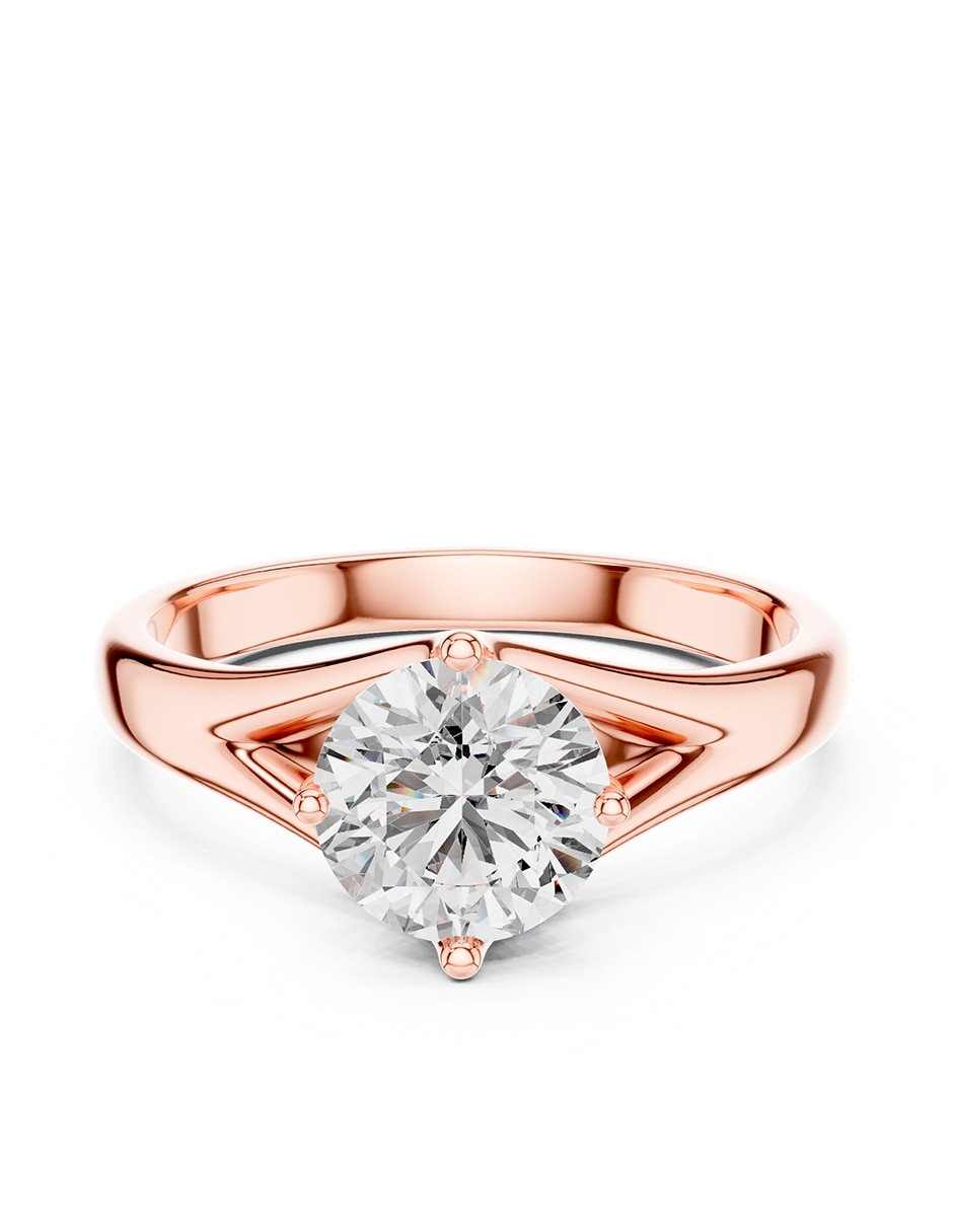 Rosa 3