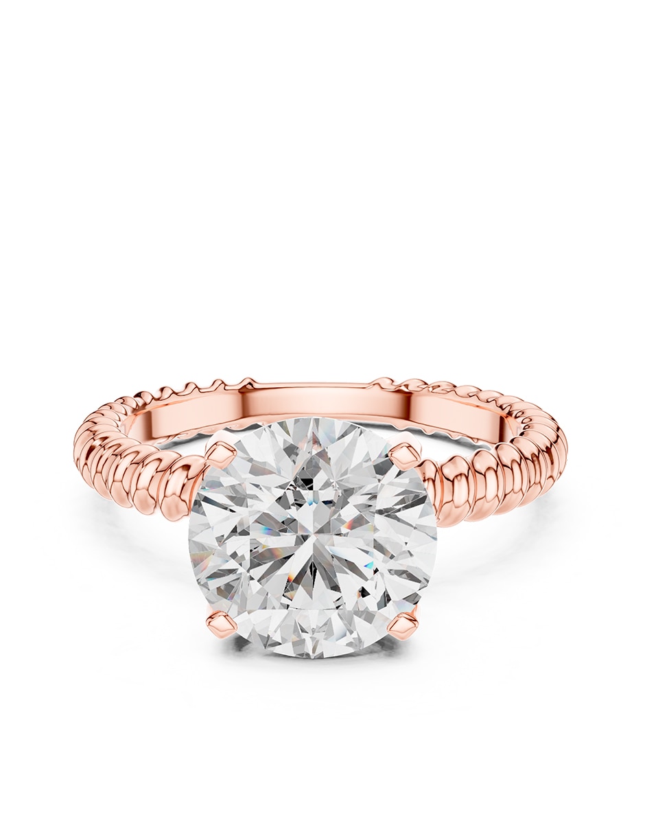 Rosa 2