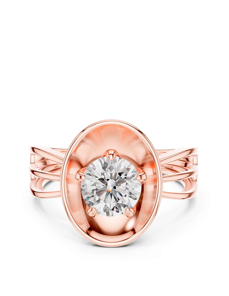 Rosa 3