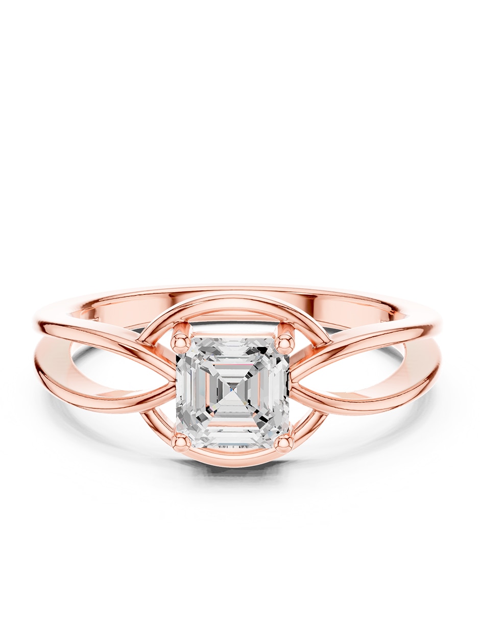 Rosa 3