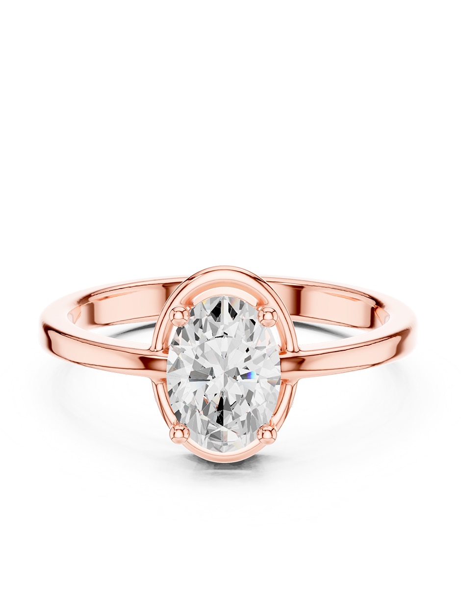 Rosa 3