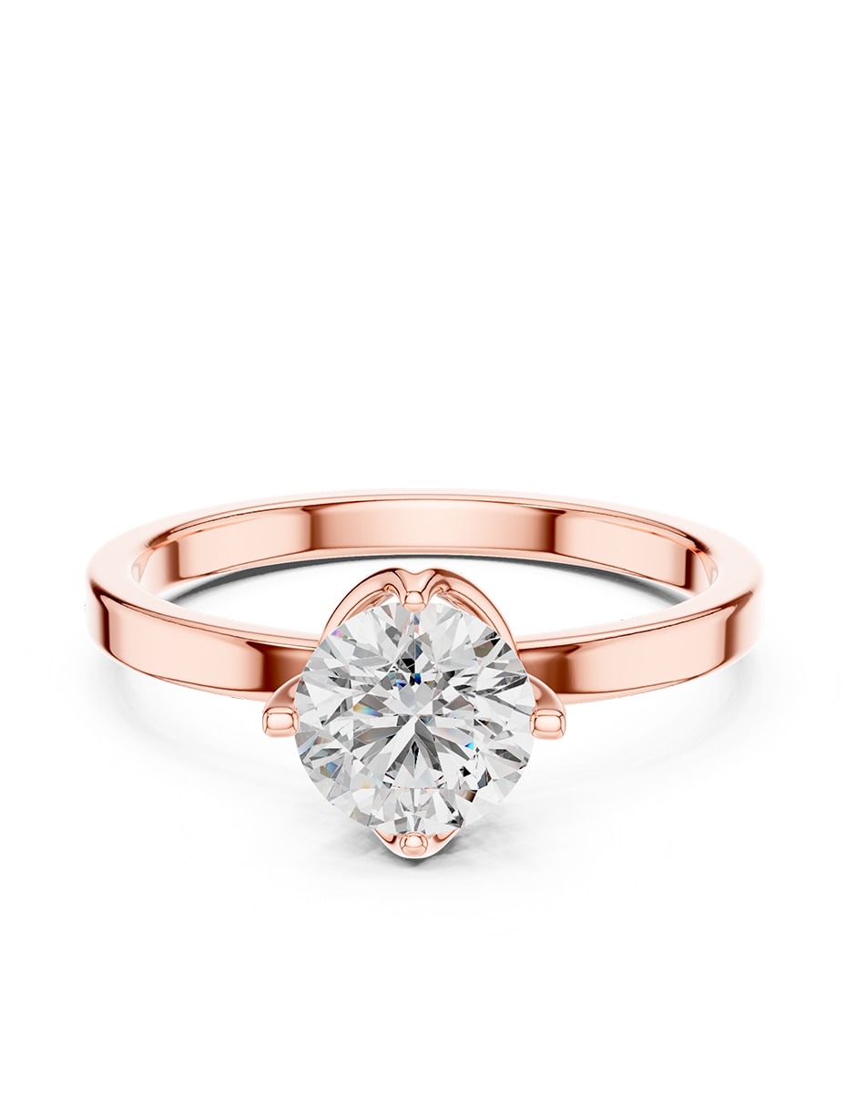 Rosa 3