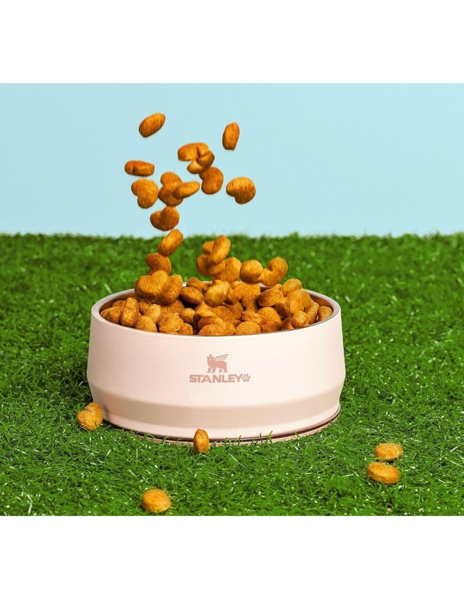 Plato para mascota 3