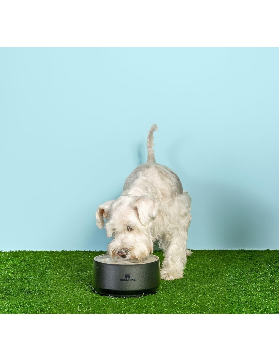 Plato para mascota Stanley