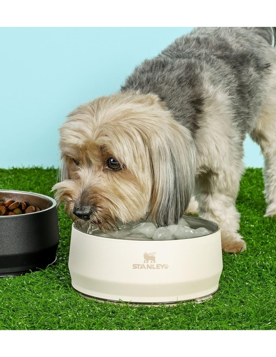 Plato para mascota 4
