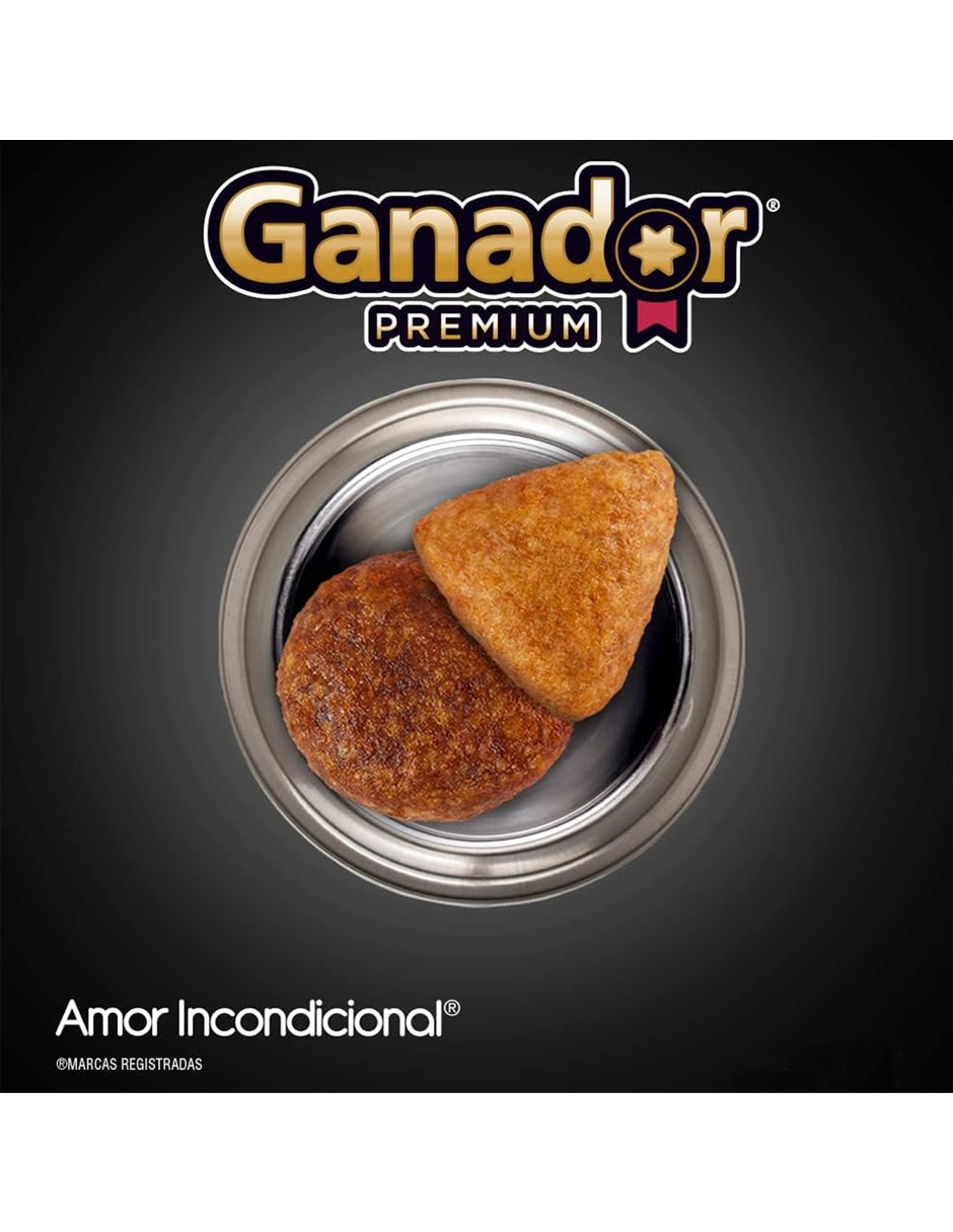 Croqueta Ganador de carne para perro etapa adulto contenido 20 kg