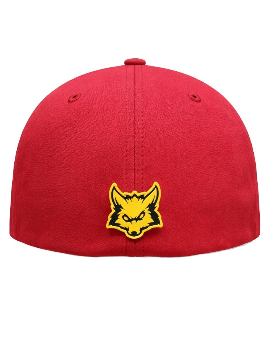 Gorra visera curva cerrada casual knite México para hombre