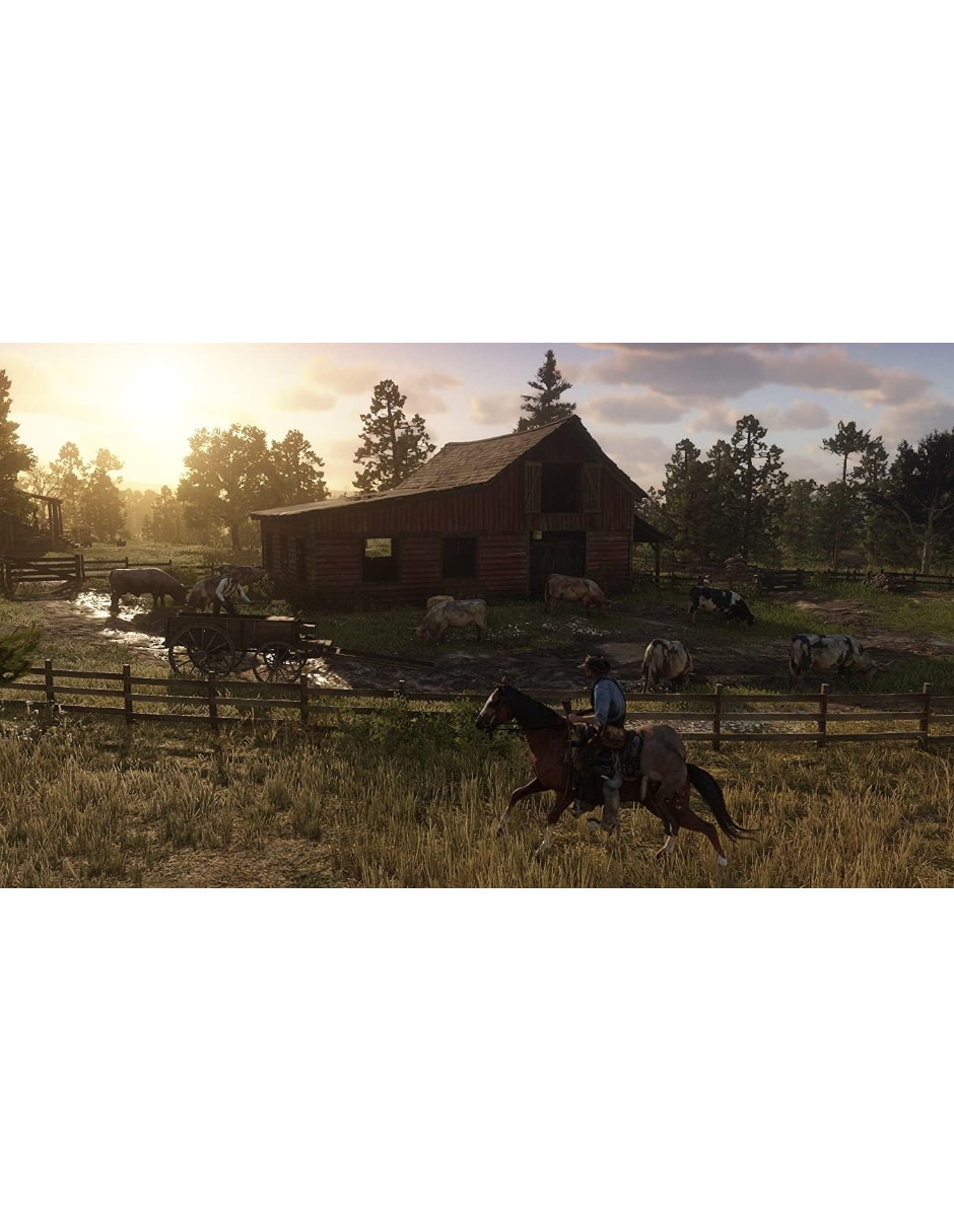 Red Dead Redemption II bundle para PS4 3