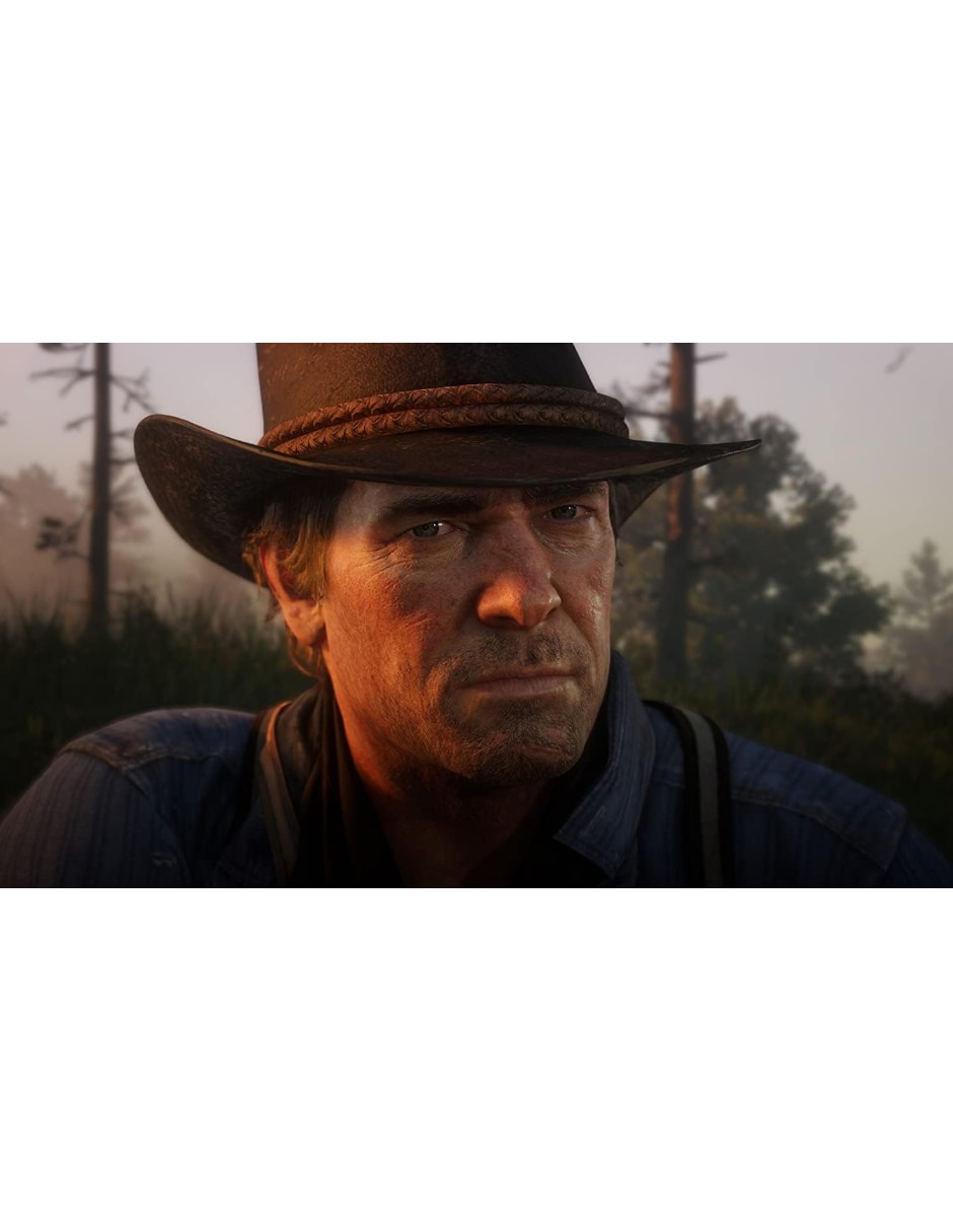 Red Dead Redemption II bundle para PS4 4
