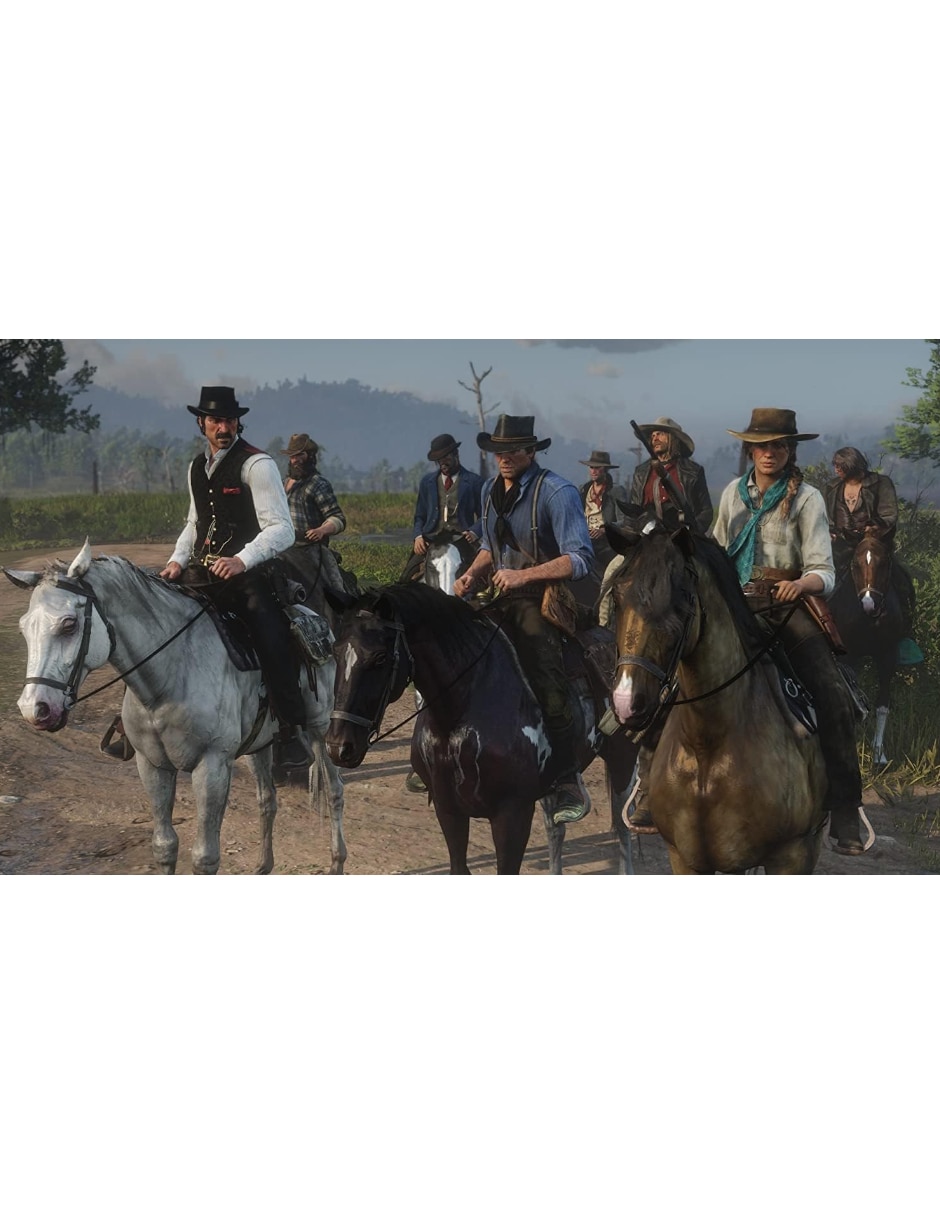 Red Dead Redemption II bundle para PS4 7