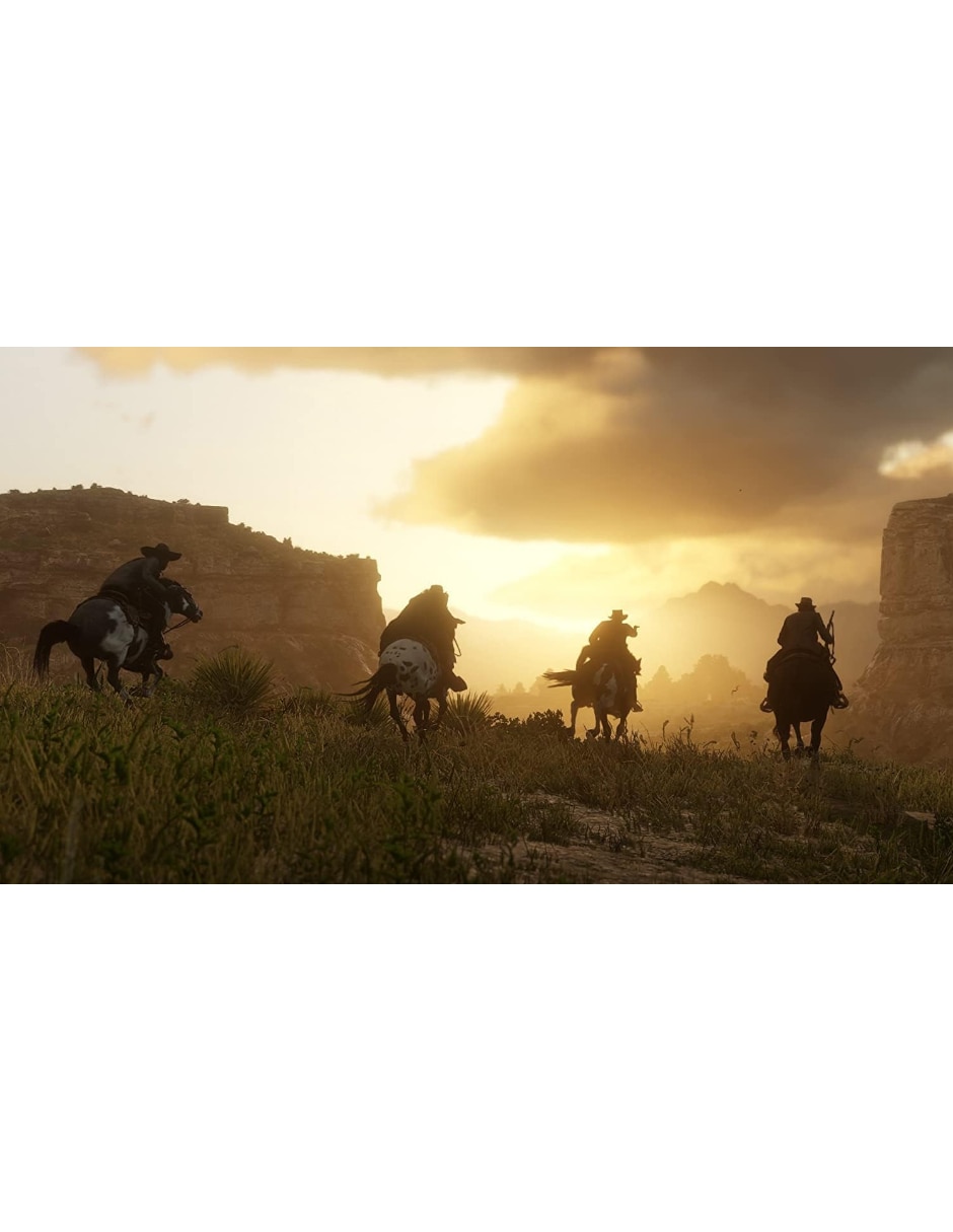 Red Dead Redemption II bundle para PS4 8