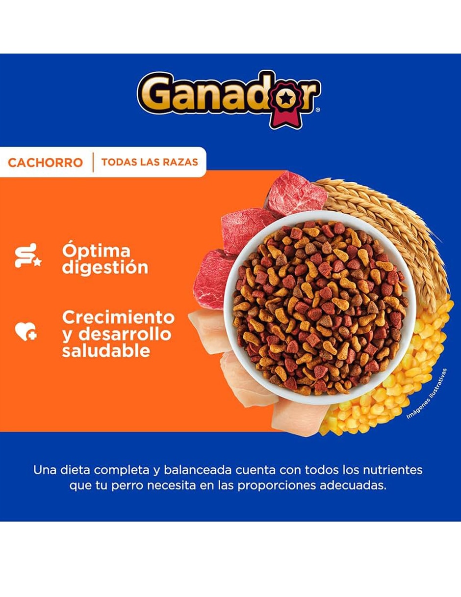 Croquetas Ganador de carne con pollo para perro etapa cachorro contenido 20 kg