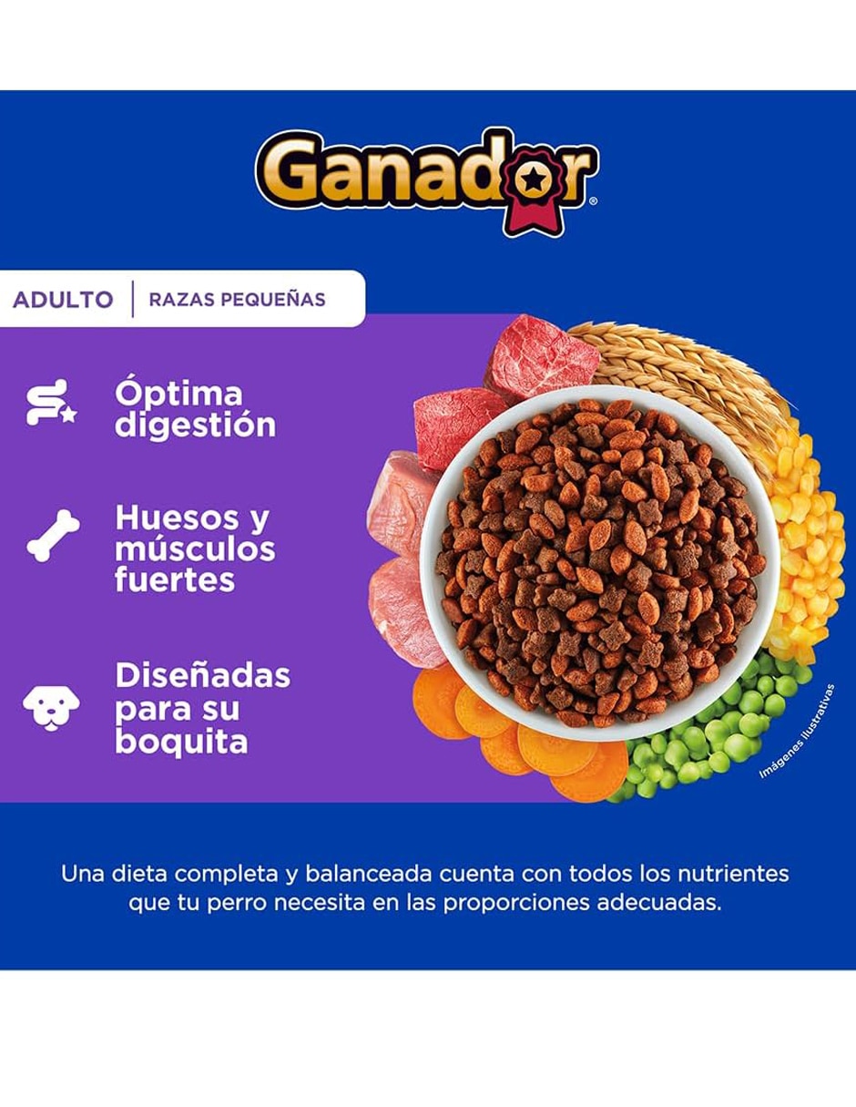 Croqueta Ganador original para perro etapa adulto contenido 20 kg
