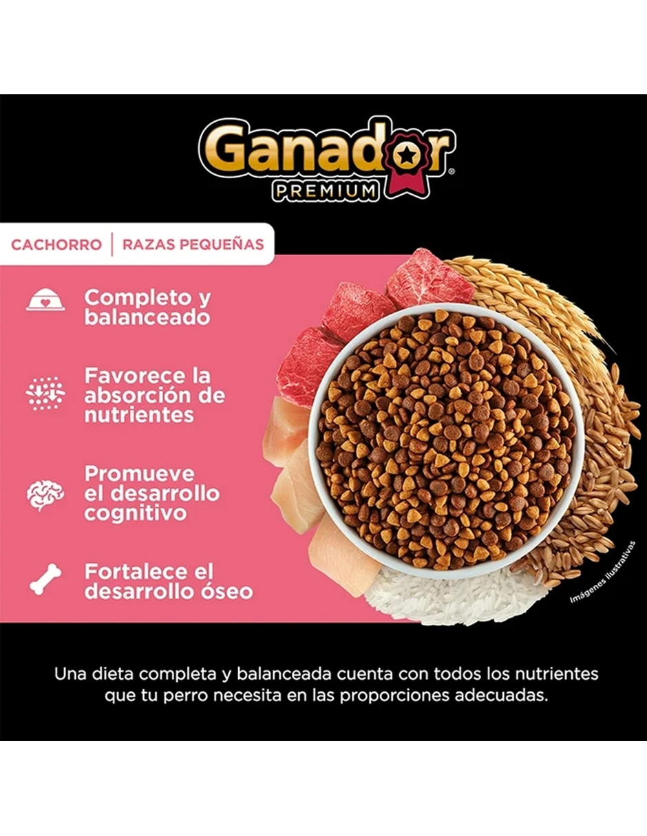 Croqueta Ganador de carne para perro etapa cachorro contenido 2 kg