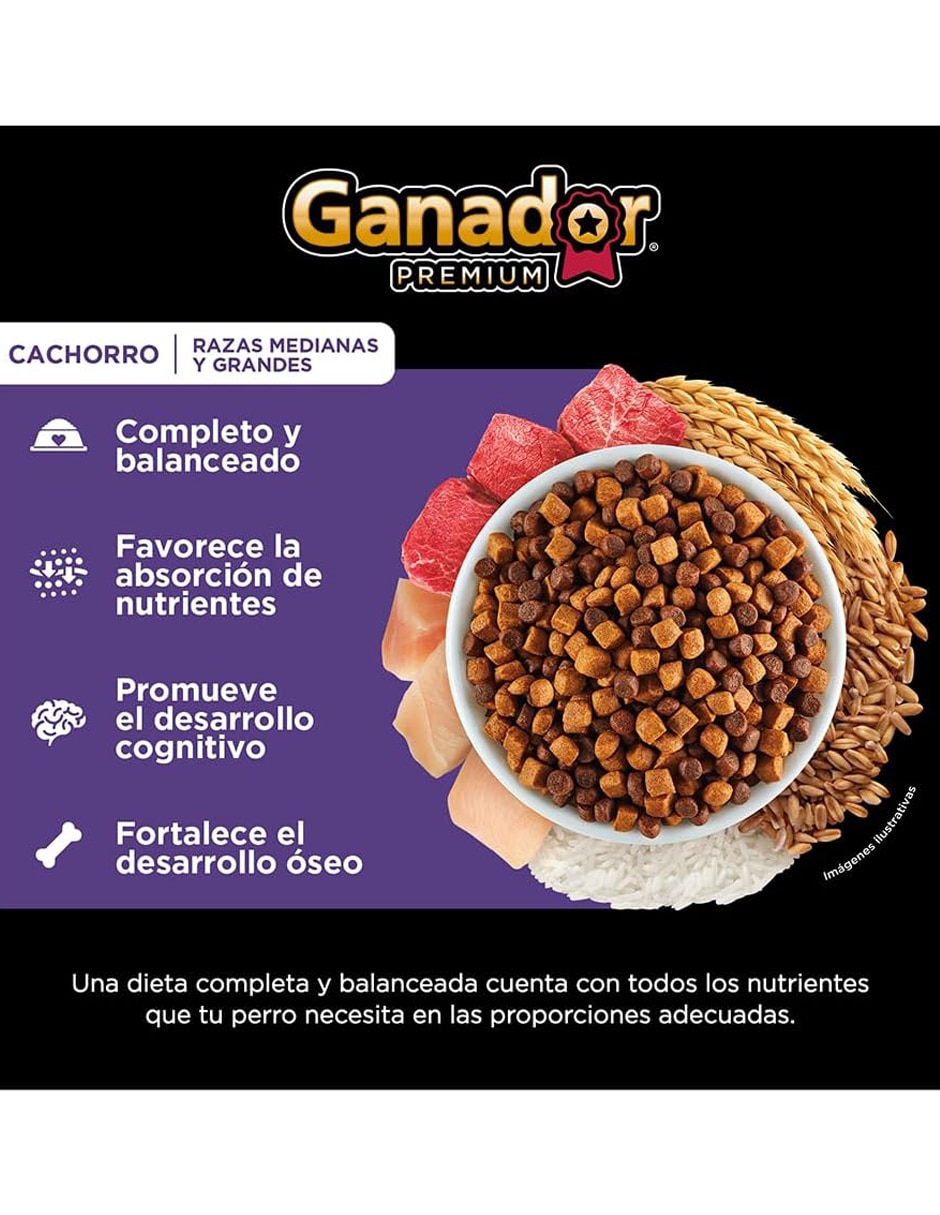 Croqueta Ganador de carne para perro etapa cachorro contenido 20 kg
