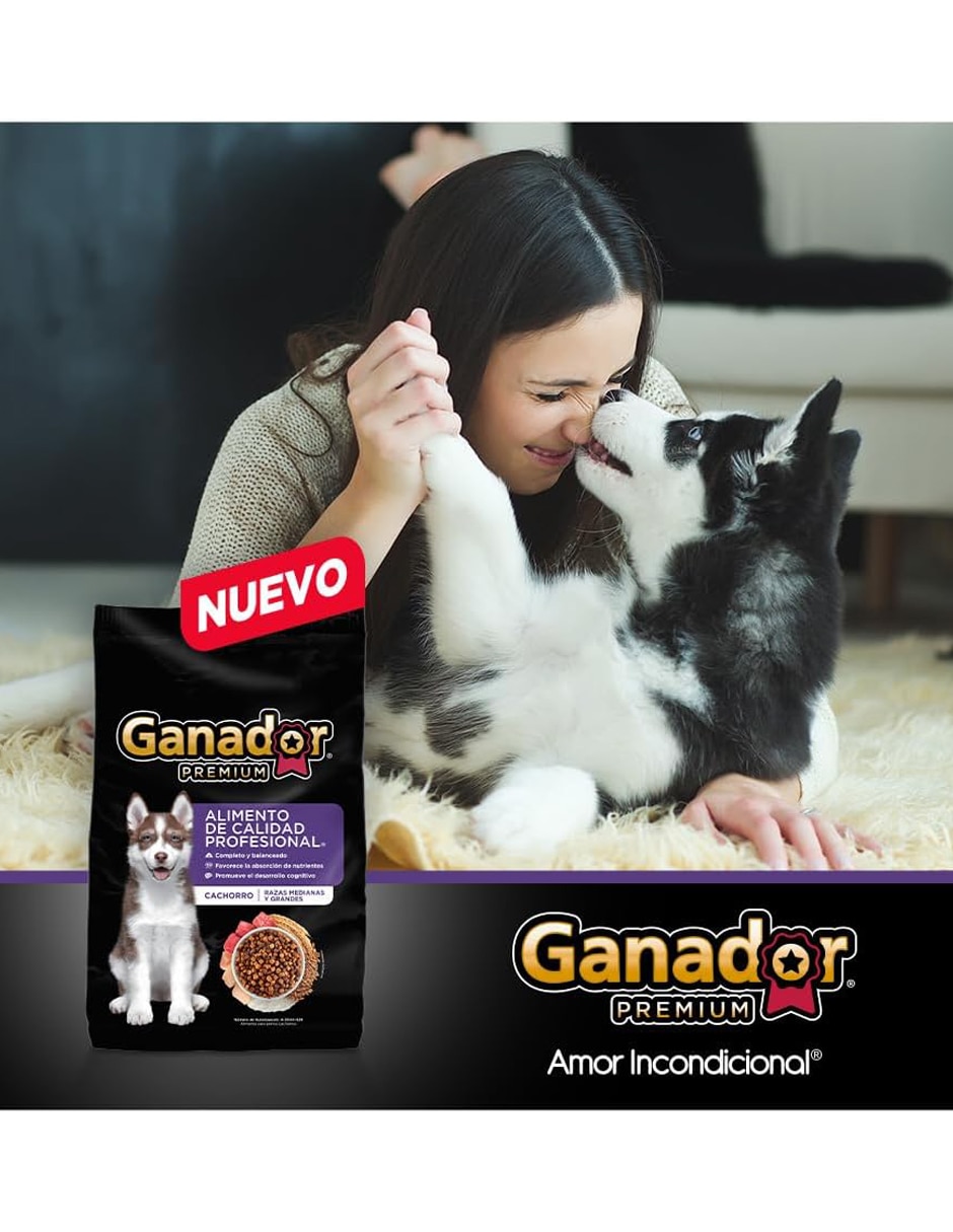 Croqueta Ganador de carne para perro etapa cachorro contenido 20 kg