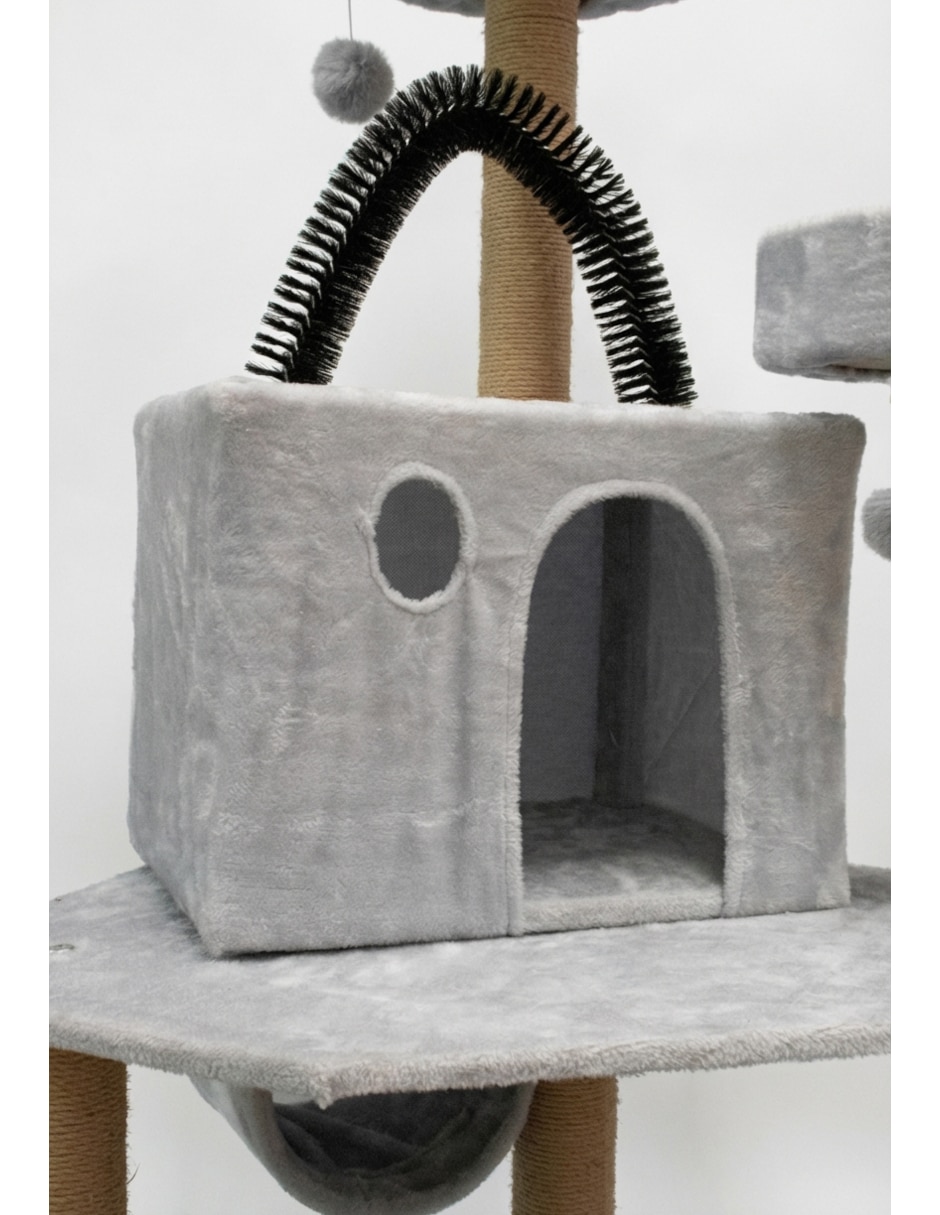 Para gato 6