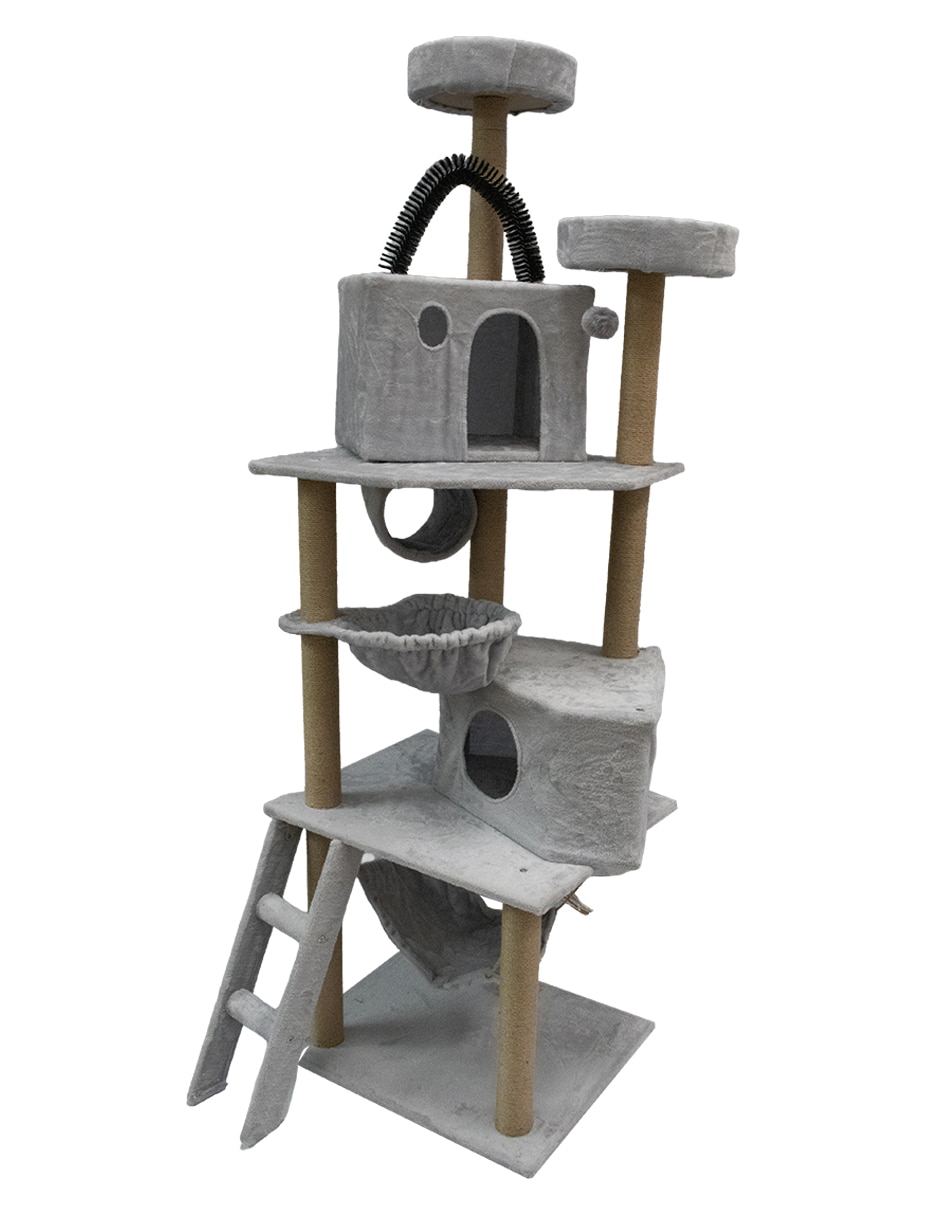 Para gato 7