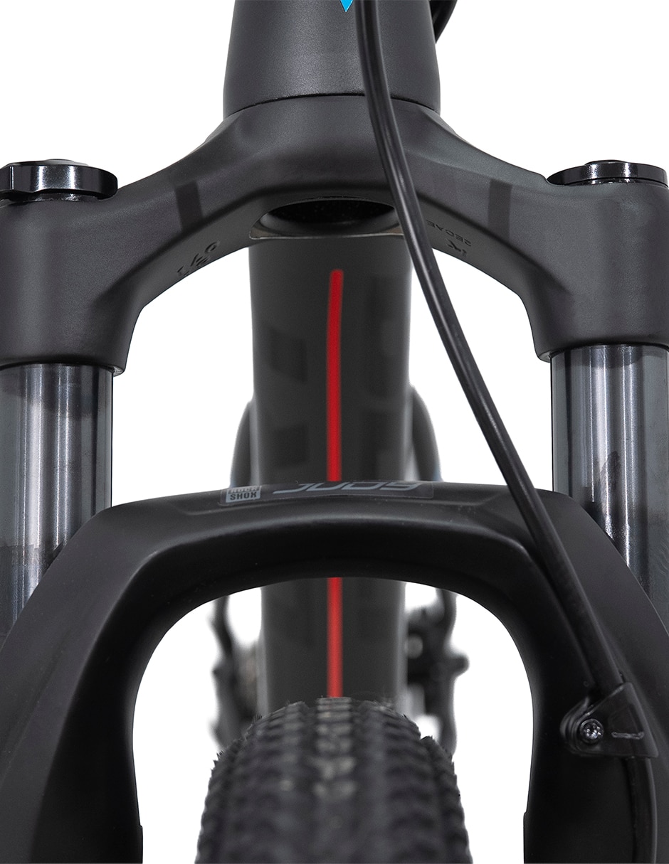 Bicicleta de montaña Belfort rodada 29 unisex