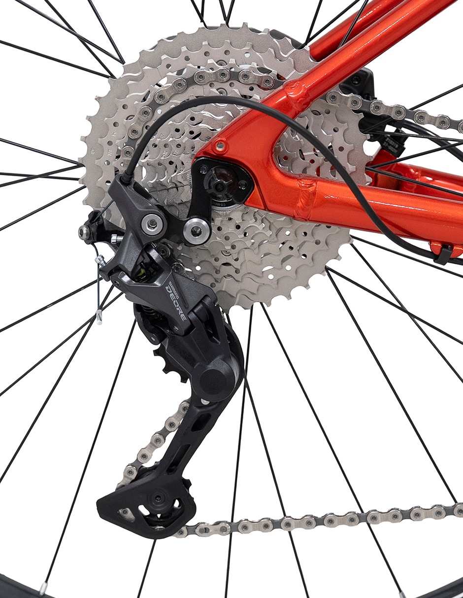 Bicicleta de montaña Belfort rodada 29 unisex
