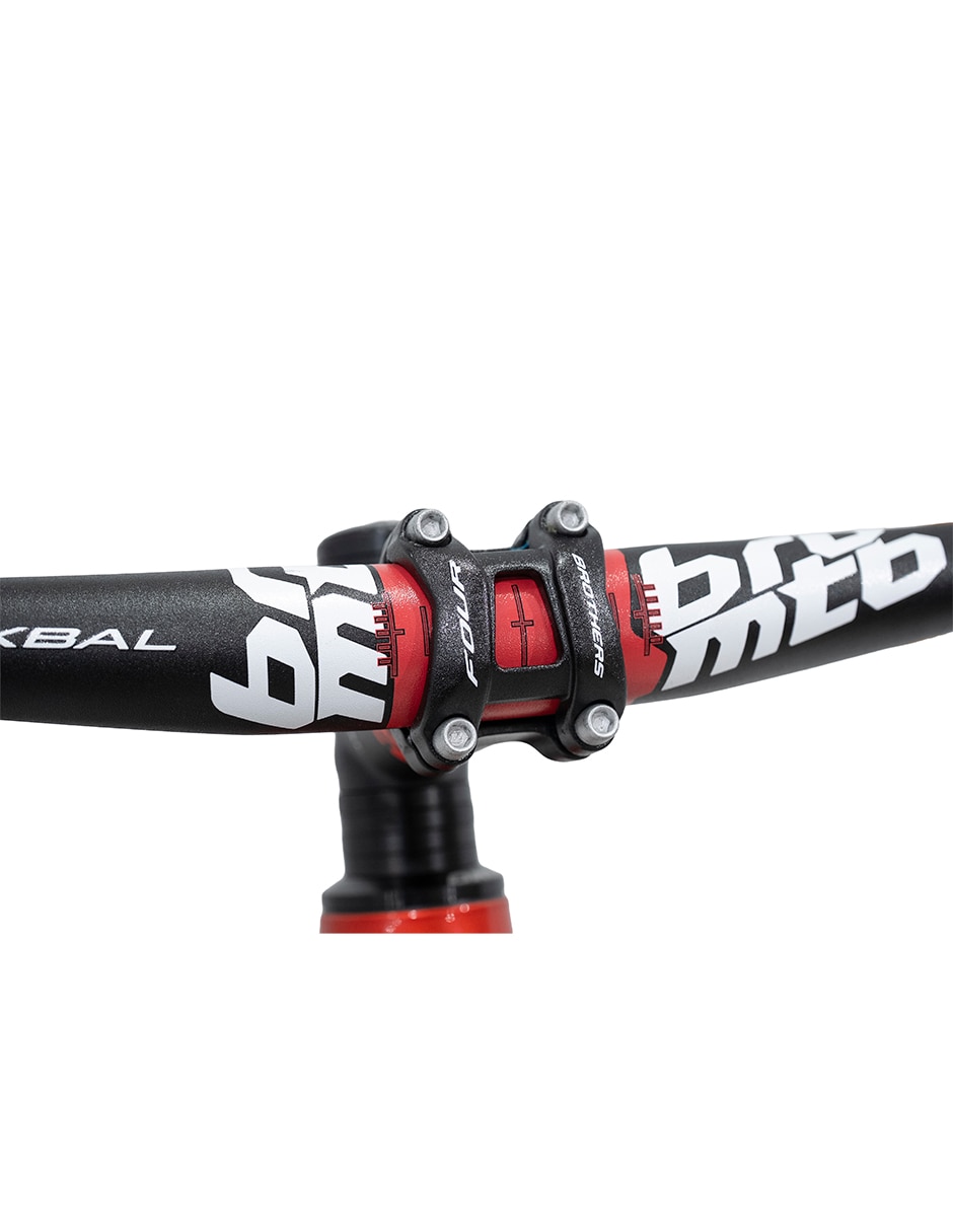 Biciccleta de montaña Belfort rodada 29 unisex