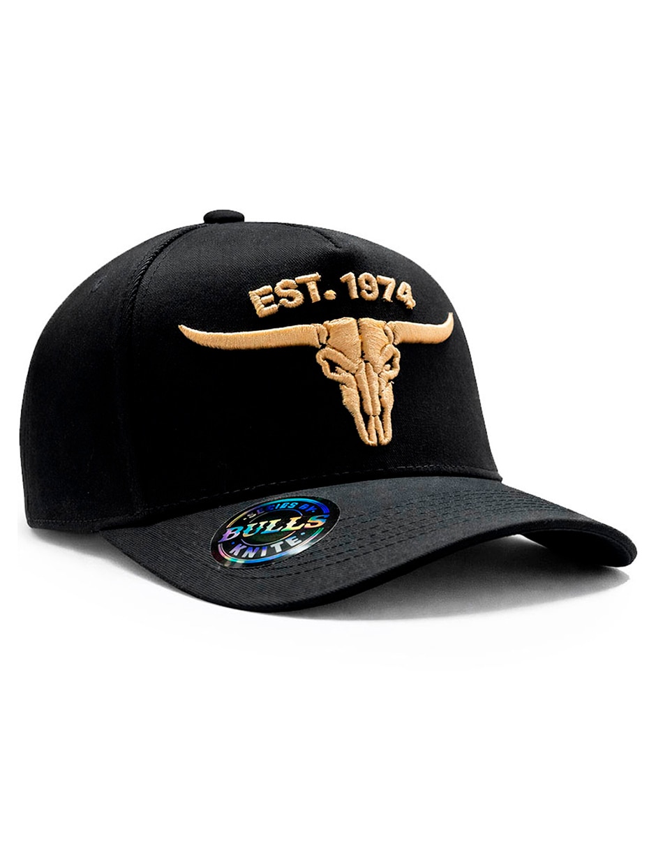 Gorra visera curva snapback para casual para hombre