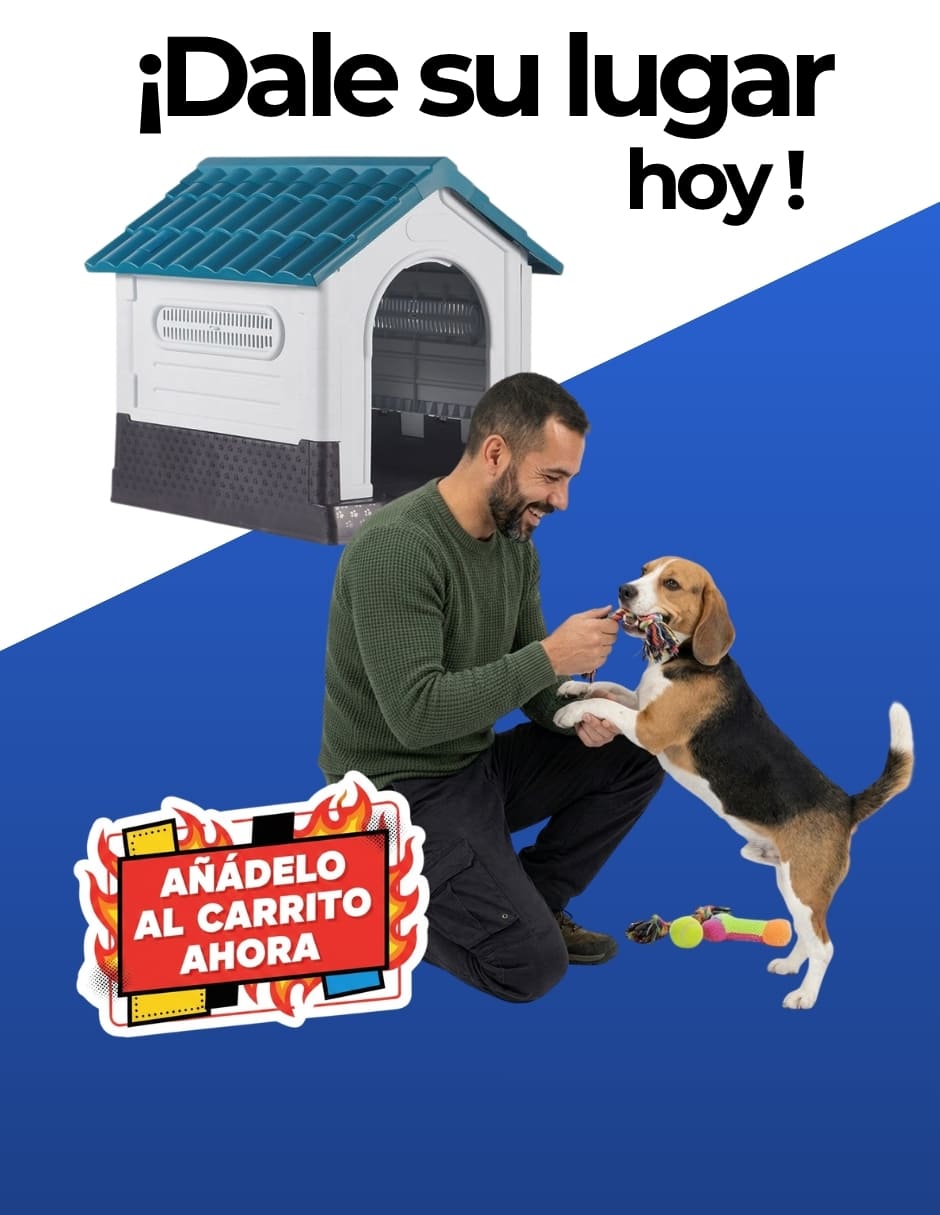 Casa para perro 10