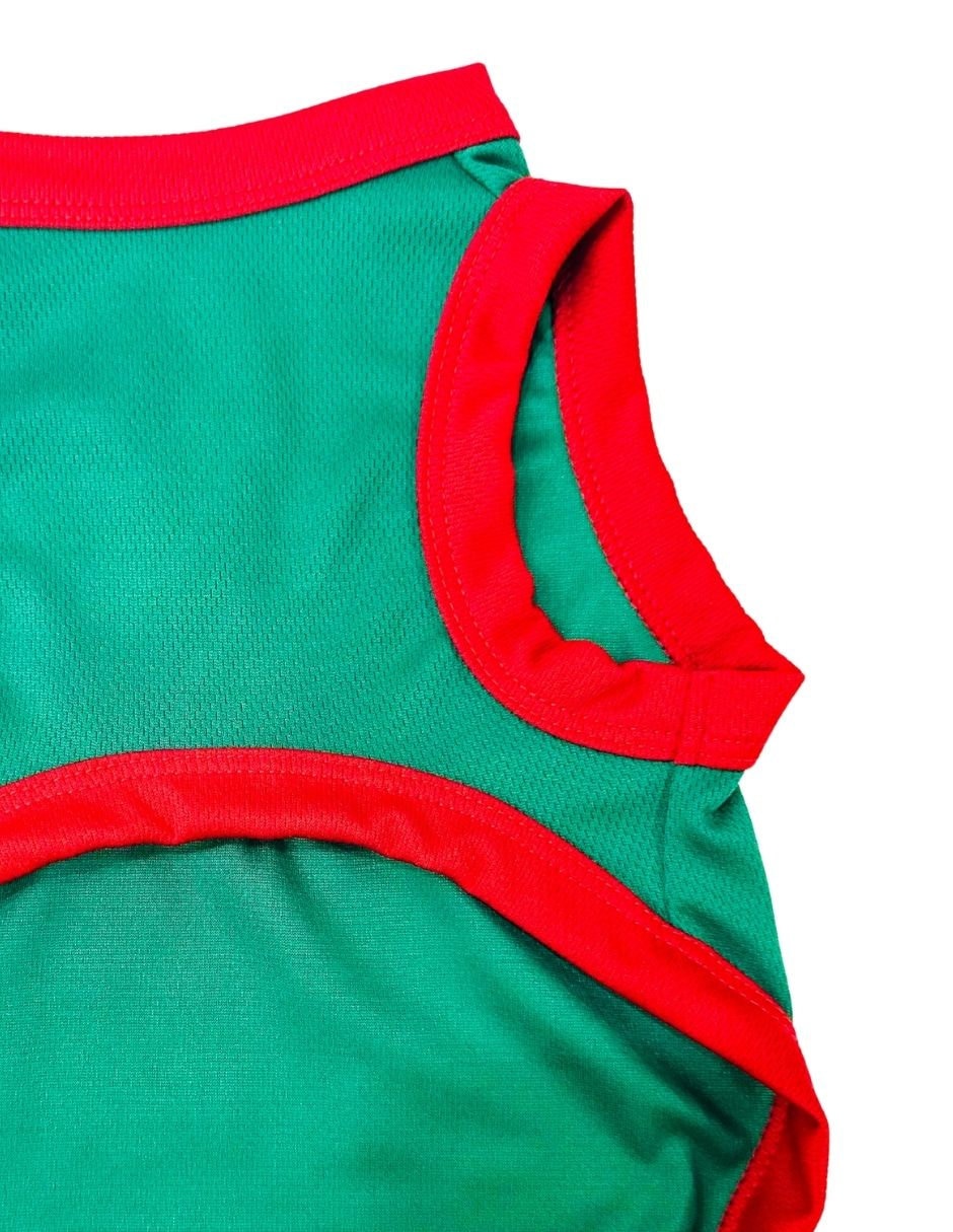 Playera para perro Maypet