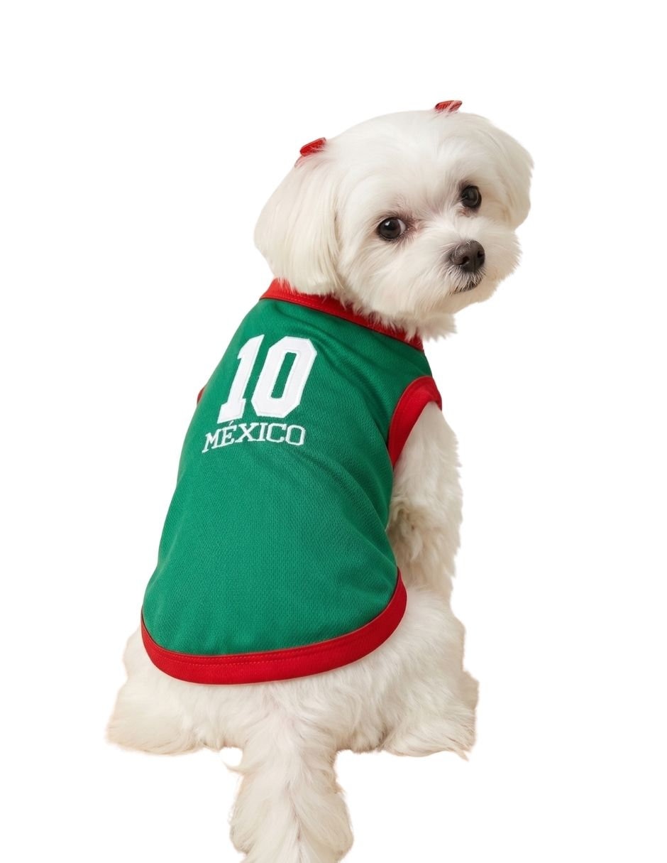 Playera para perro 7