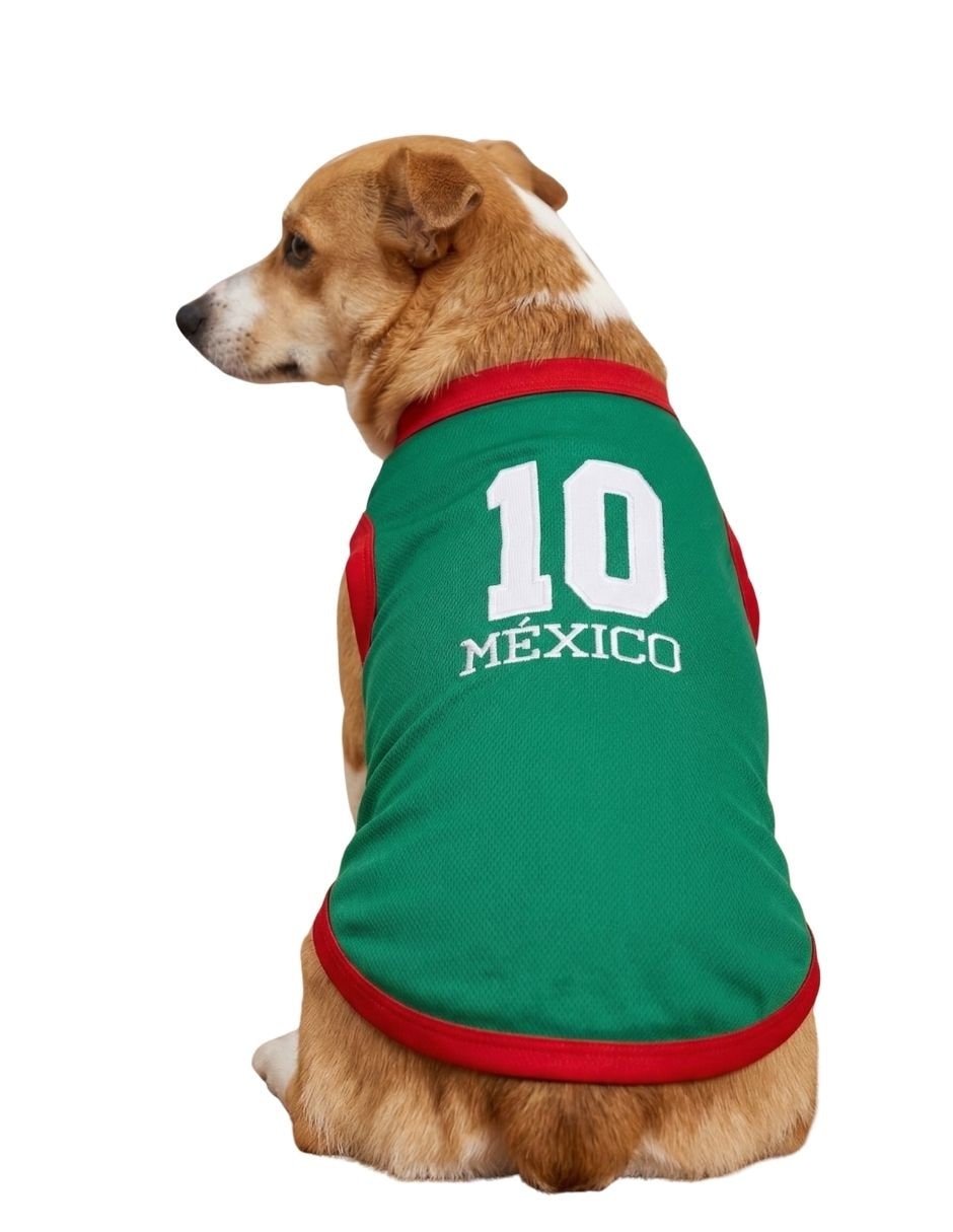 Playera para perro Maypet
