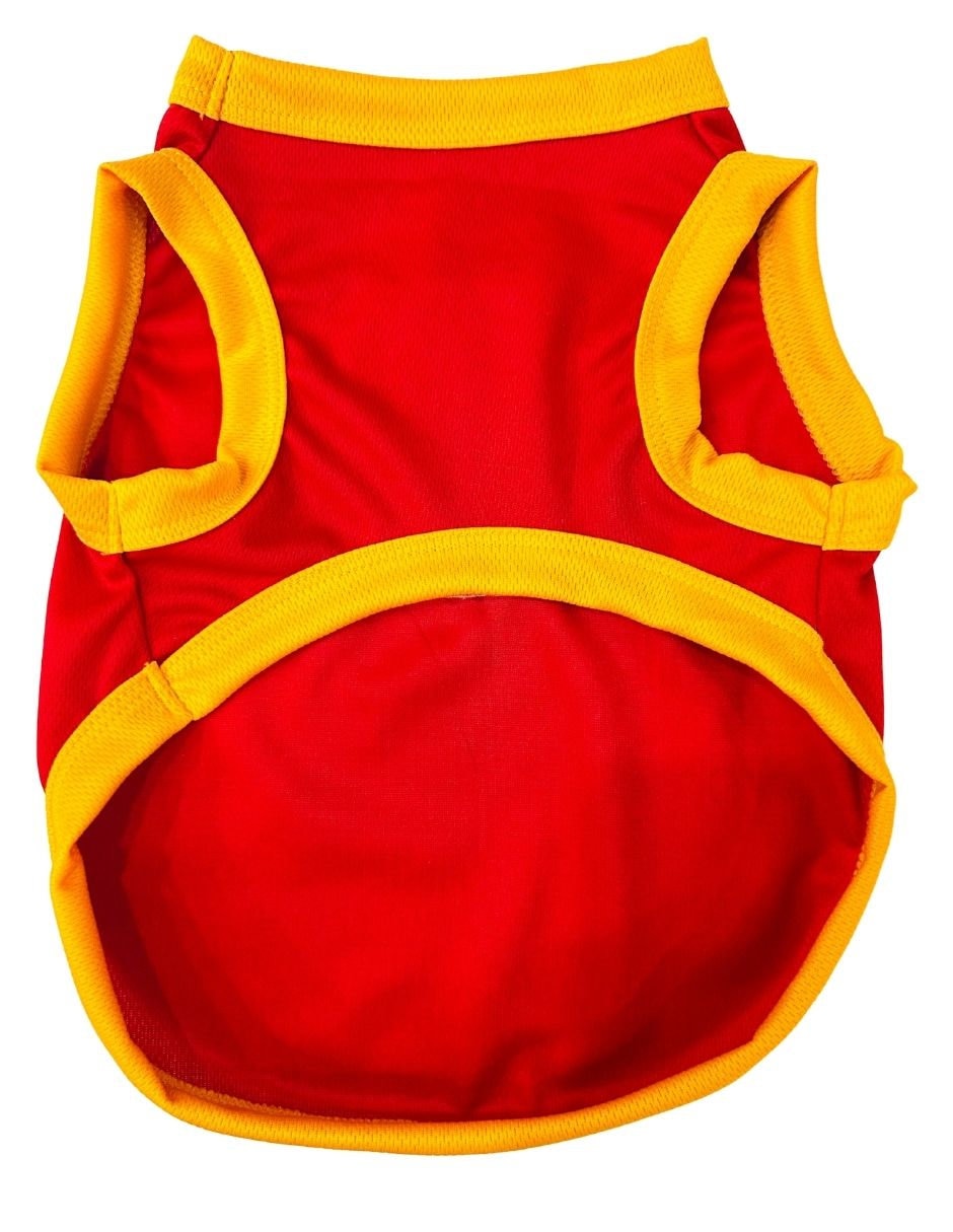 Playera para perro 4