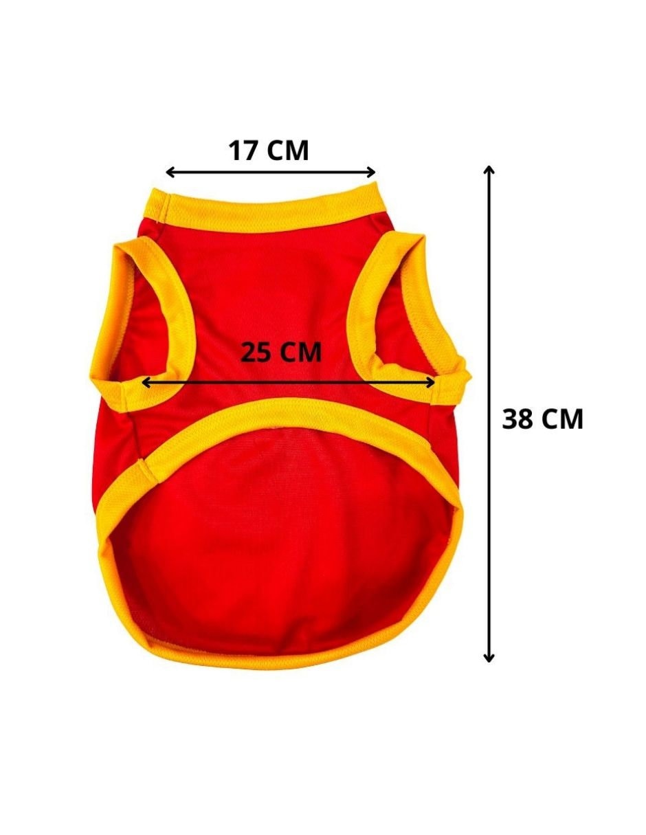 Playera para perro 5