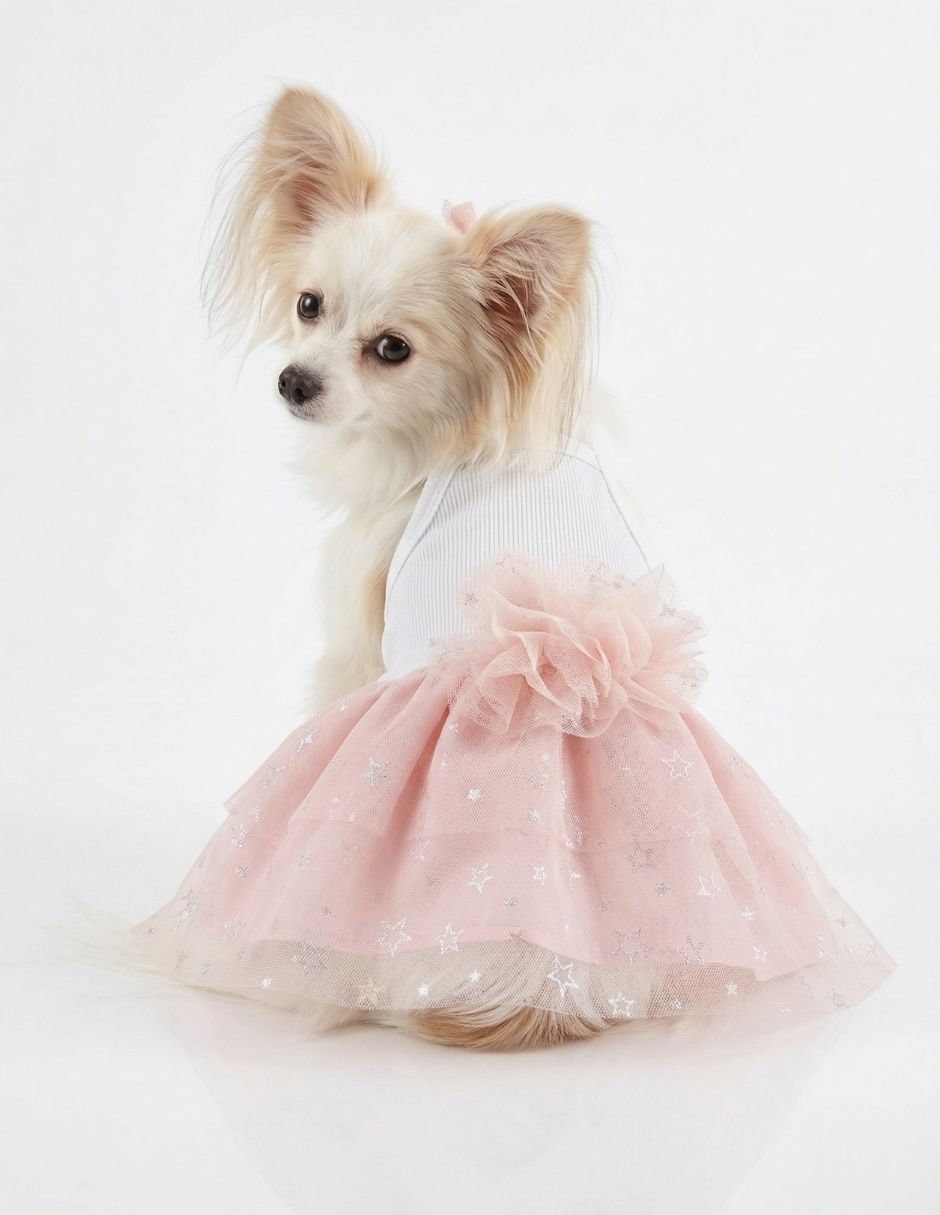 Vestido para perro Maypet