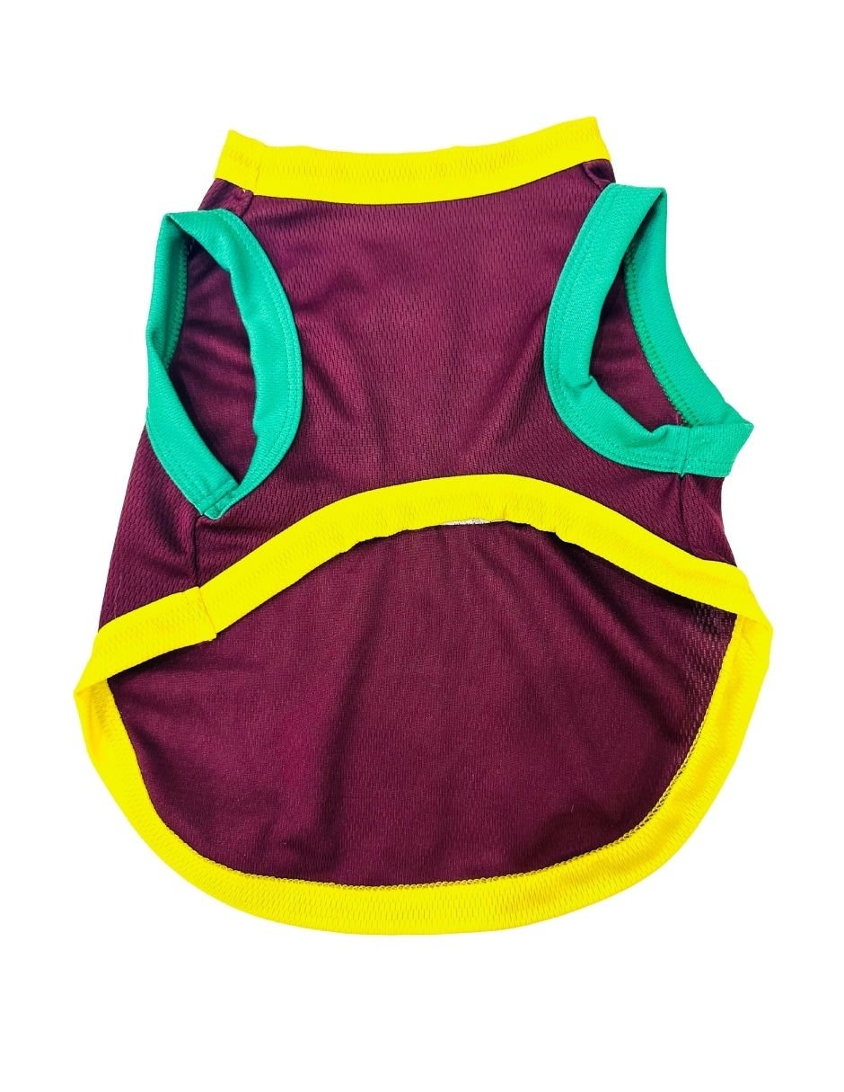 Playera para perro 2