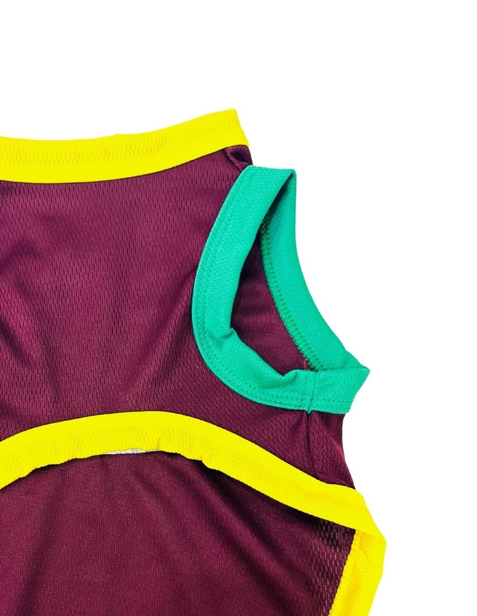 Playera para perro Maypet