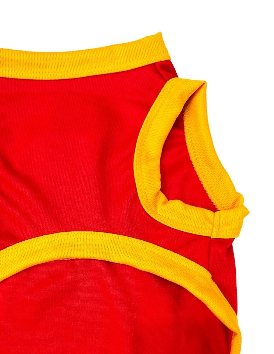 Playera para perro Maypet