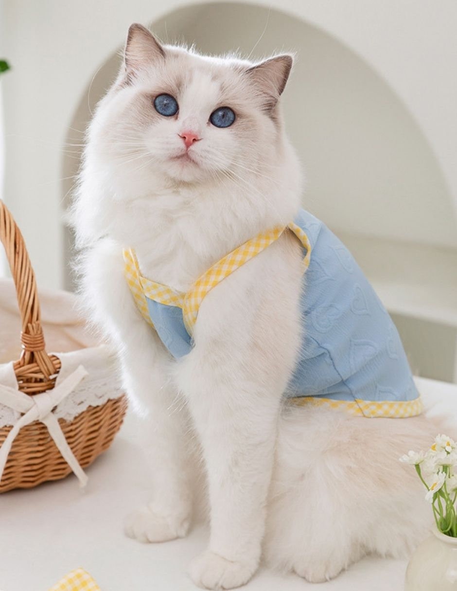 Vestido para perro Maypet