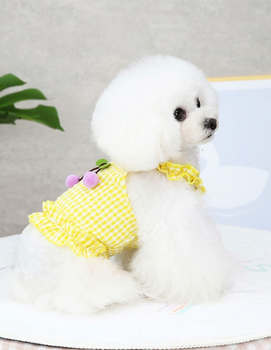 Vestido para perro Maypet