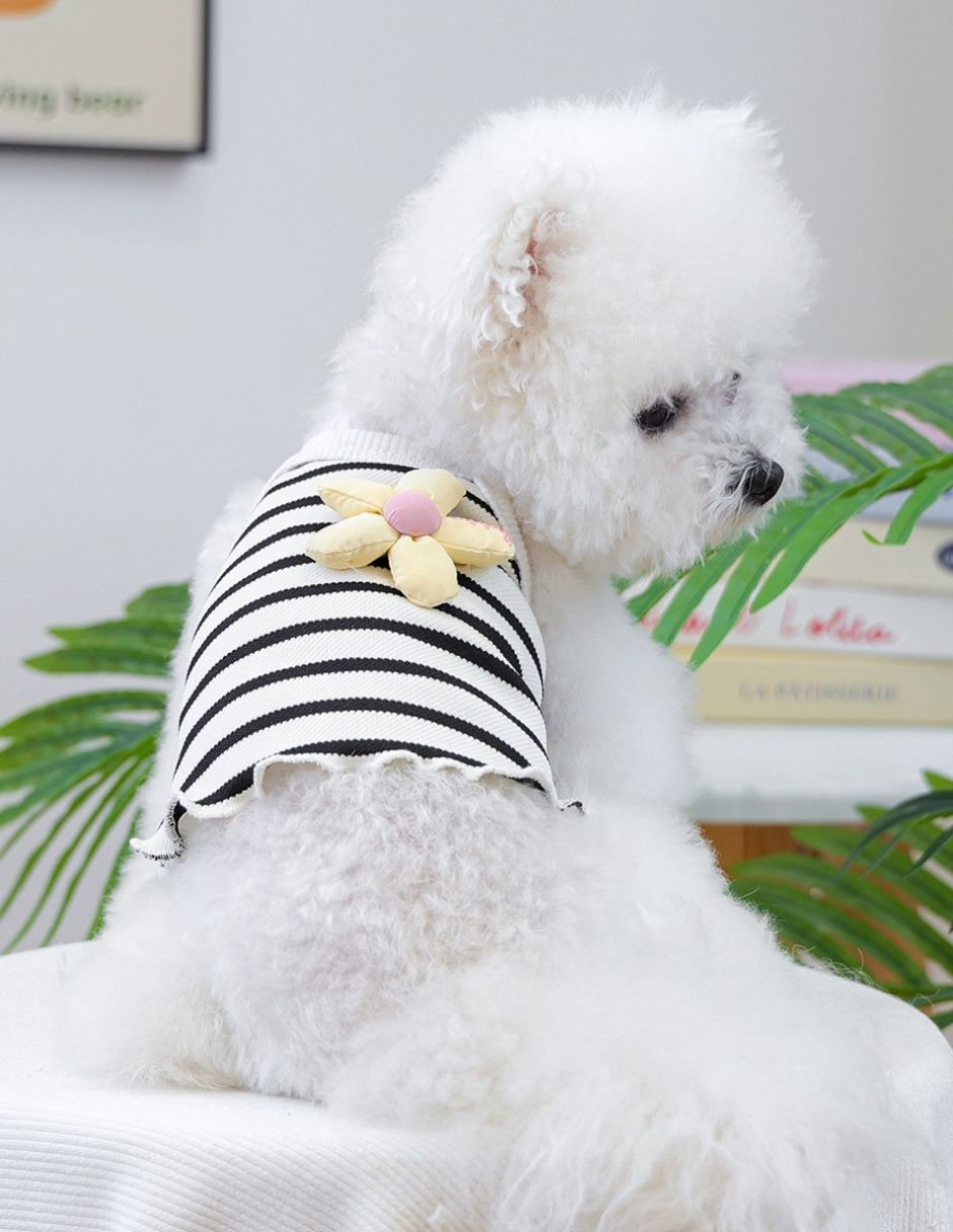 Vestido para perro 4